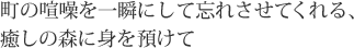 町の喧噪を一瞬にして忘れさせてくれる、癒しの森に身を預けて