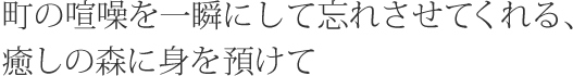 町の喧噪を一瞬にして忘れさせてくれる、癒しの森に身を預けて