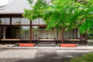 月真院